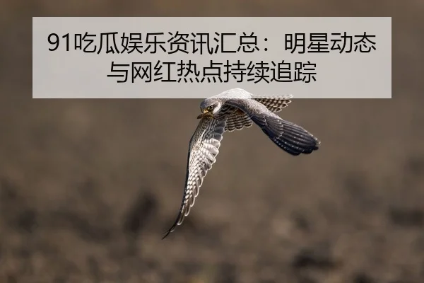 91吃瓜娱乐资讯汇总：明星动态与网红热点持续追踪
